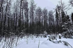 15865 Thrasher Rd, Alvin, WI 54542 - Photo 23