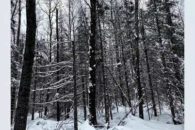 15865 Thrasher Road, Alvin, WI 54542 - Photo 31