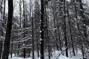 15865 Thrasher Rd, Alvin, WI 54542 - Photo 31