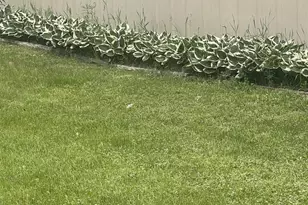 W614 Co Rd C, Gleason, WI 54435 - Photo 57