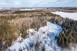 W614 Co Rd C, Gleason, WI 54435 - Photo 53