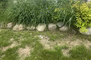 W614 Co Rd C, Gleason, WI 54435 - Photo 59