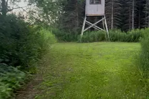 W614 Co Rd C, Gleason, WI 54435 - Photo 55