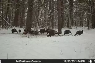 W6378 County Rd H, Phillips, WI 54555 - Photo 35