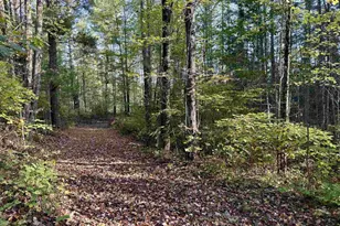 W6378 County Rd H, Phillips, WI 54555 - Photo 29