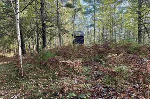 W6378 County Rd H, Phillips, WI 54555 - Photo 41