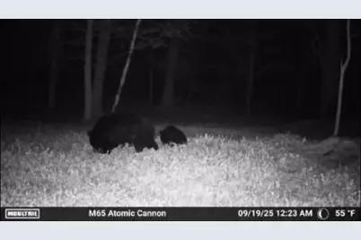 W6378 County Road H, Phillips, WI 54555 - Photo 37