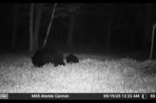 W6378 County Rd H, Phillips, WI 54555 - Photo 37