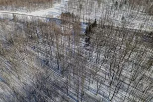 1629 Creek Rd, Kronenwetter, WI 54455 - Photo 37