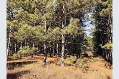 Lot 1 Bell Road, Wisconsin Rapids, WI 54494 - Photo 11