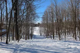 N8307 Birch Hill Rd, Phillips, WI 54555 - Photo 37