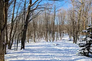 N8307 Birch Hill Rd, Phillips, WI 54555 - Photo 39