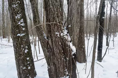 N583 Castle Drive, Dorchester, WI 54425 - Photo 21