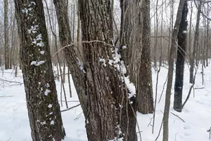 N583 Castle Dr, Dorchester, WI 54425 - Photo 21