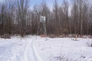 N583 Castle Dr, Dorchester, WI 54425 - Photo 23