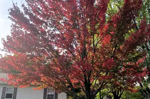 150081 Peregrine Way, Wausau, WI 54401 - Photo 59