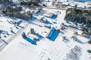 101 E School House Rd, Bowler, WI 54416 - Photo 47