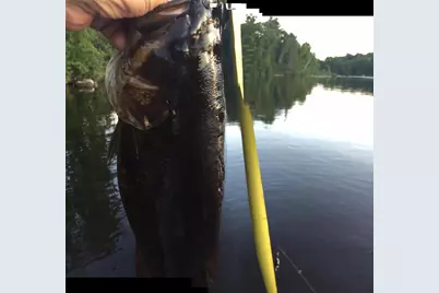 N13755 Crowley Shores Road, Park Falls, WI 54552 - Photo 7