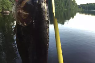 N13755 Crowley Shores Rd, Park Falls, WI 54552 - Photo 7