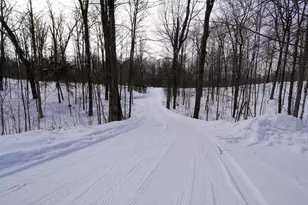 N292 Lamer Dr, Ogema, WI 54459 - Photo 15