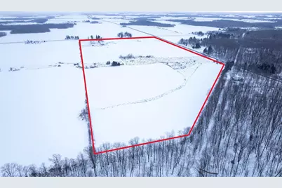 108120 Wuertzberg Road #+/- 72 Acres, Abbotsford, WI 54405 - Photo 7