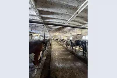 108120 Wuertzberg Road #+/- 72 Acres, Abbotsford, WI 54405 - Photo 21