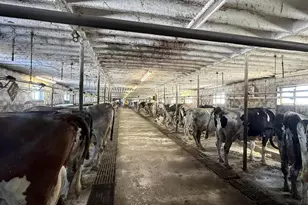 108120 Wuertzberg Road #+/- 72 Acres, Abbotsford, WI 54405 - Photo 21