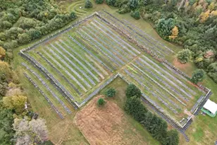 W6098 E Stelling Rd, Tomahawk, WI 54487 - Photo 33