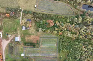 W6098 E Stelling Rd, Tomahawk, WI 54487 - Photo 29