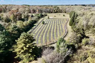 W6098 E Stelling Rd, Tomahawk, WI 54487 - Photo 23