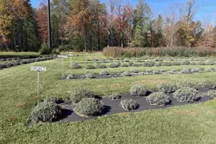 W6098 E Stelling Rd, Tomahawk, WI 54487 - Photo 31