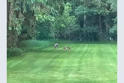 814 4th Avenue North, Park Falls, WI 54552 - Photo 5