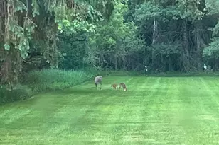 814 4th Ave N, Park Falls, WI 54552 - Photo 5