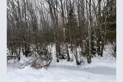 Lot On Worsech Road, Catawba, WI 54515 - Photo 11