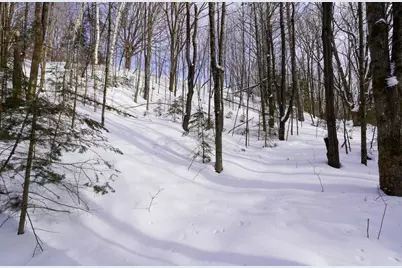 N1803 Berlin Road, Ogema, WI 54459 - Photo 13