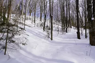 N1803 Berlin Rd, Ogema, WI 54459 - Photo 13