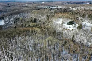 N1803 Berlin Rd, Ogema, WI 54459 - Photo 19