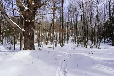 N1803 Berlin Road, Ogema, WI 54459 - Photo 15