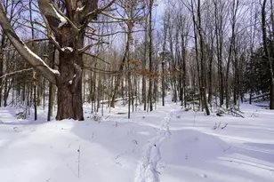 N1803 Berlin Rd, Ogema, WI 54459 - Photo 15