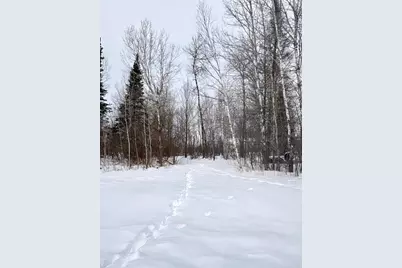 418 Green Tree Drive, Prentice, WI 54556 - Photo 51