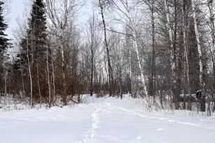 418 Greentree Dr, Prentice, WI 54556 - Photo 51