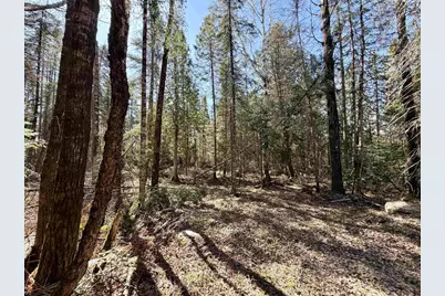 25392 Highway 13, Glidden, WI 54527 - Photo 29