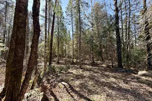 25392 Hwy 13, Glidden, WI 54527 - Photo 29