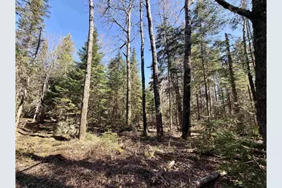 25392 Highway 13, Glidden, WI 54527 - Photo 33