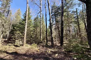 25392 Hwy 13, Glidden, WI 54527 - Photo 33