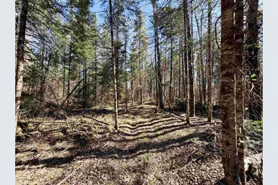 25392 Highway 13, Glidden, WI 54527 - Photo 35