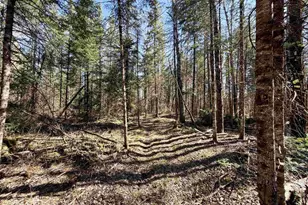 25392 Hwy 13, Glidden, WI 54527 - Photo 35