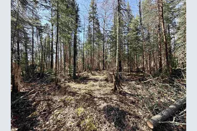 25392 Highway 13, Glidden, WI 54527 - Photo 31