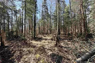 25392 Hwy 13, Glidden, WI 54527 - Photo 31
