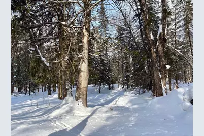 25392 Highway 13, Glidden, WI 54527 - Photo 31